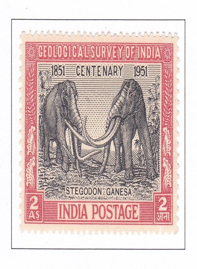Phila298 1951 Geological Survey MNH